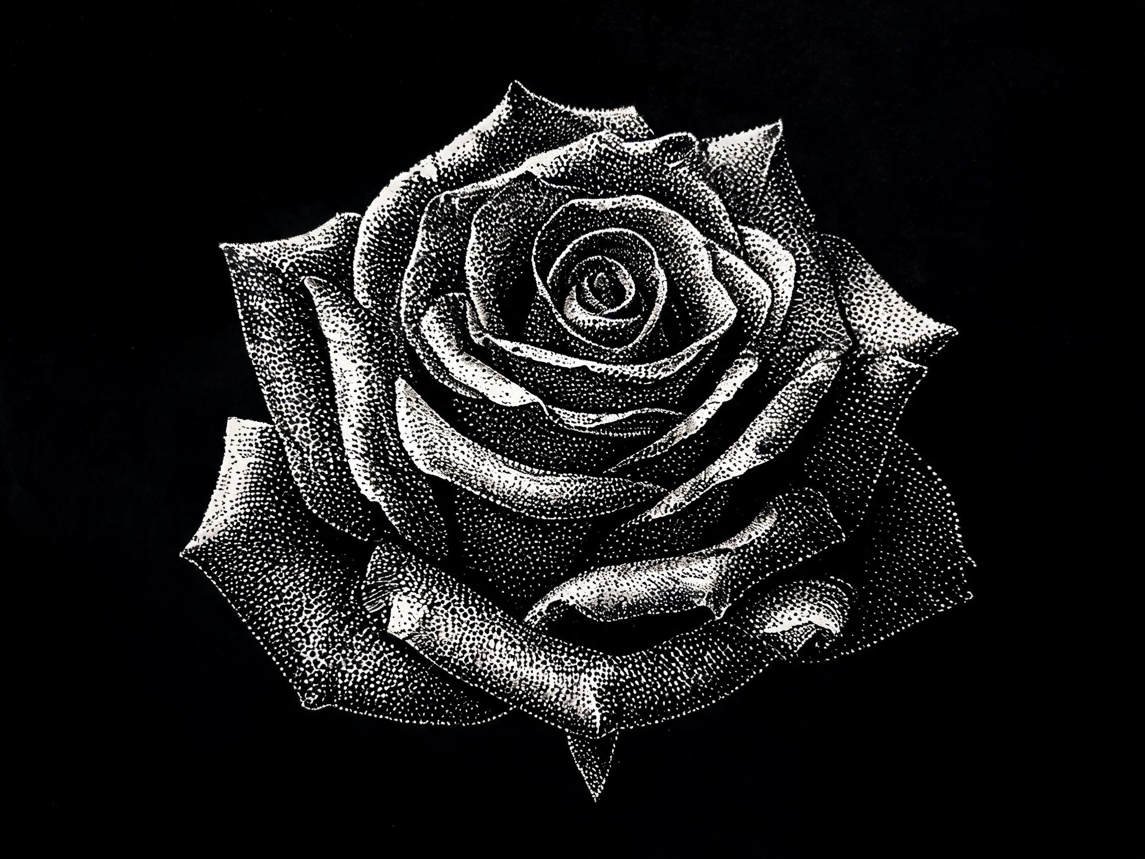 Rosa nera gotica tatuata in stile dotwork dark con petali dettagliati e ombre profonde, fotografia noir cinematografica