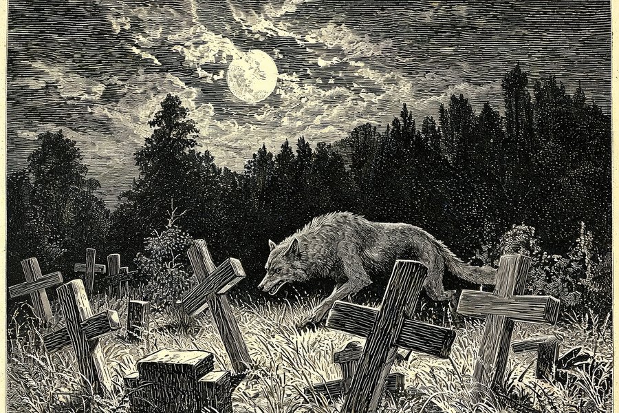 Mani dalla terra, vampiri e licantropi: la mitologia della morte