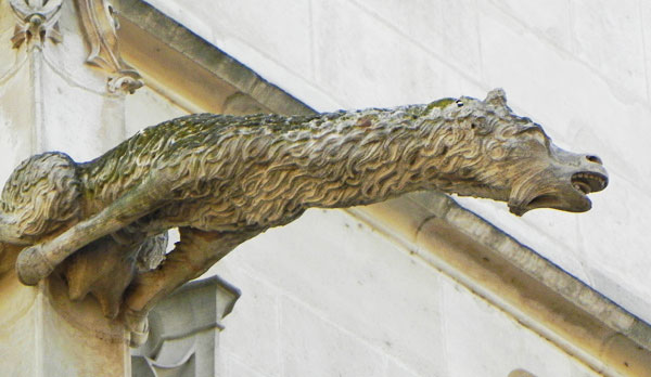 Gargoyle della cattedrale di Chartres