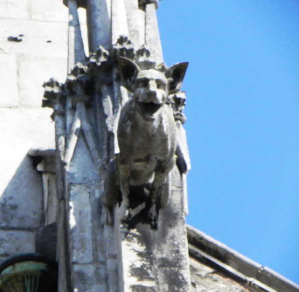 Gargoyle della cattedrale Notre Dame a Parigi
